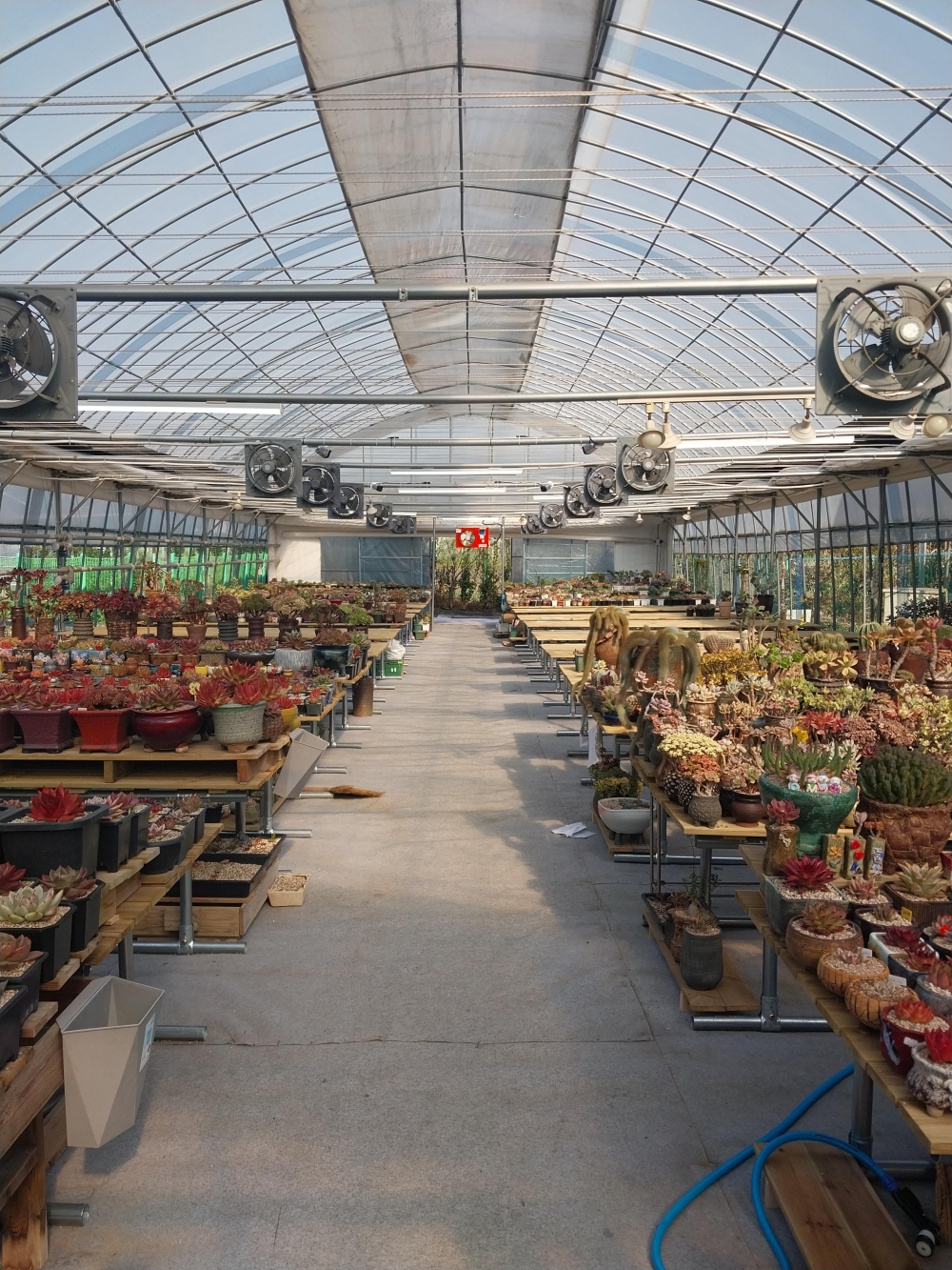 군포 다육이농원